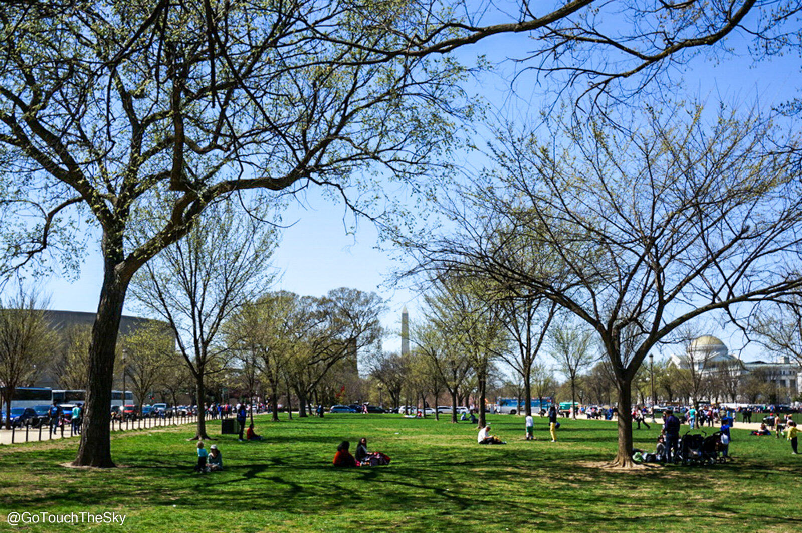 National Mall ช่วงบ่าย ผู้คนเดินเล่นใต้ต้นไม้สีเขียวขจี